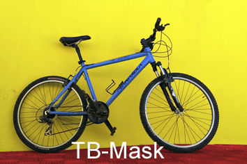 TB Mask