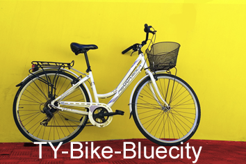 TY-Bike-Bluecity