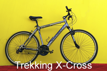 Trekking x-cross